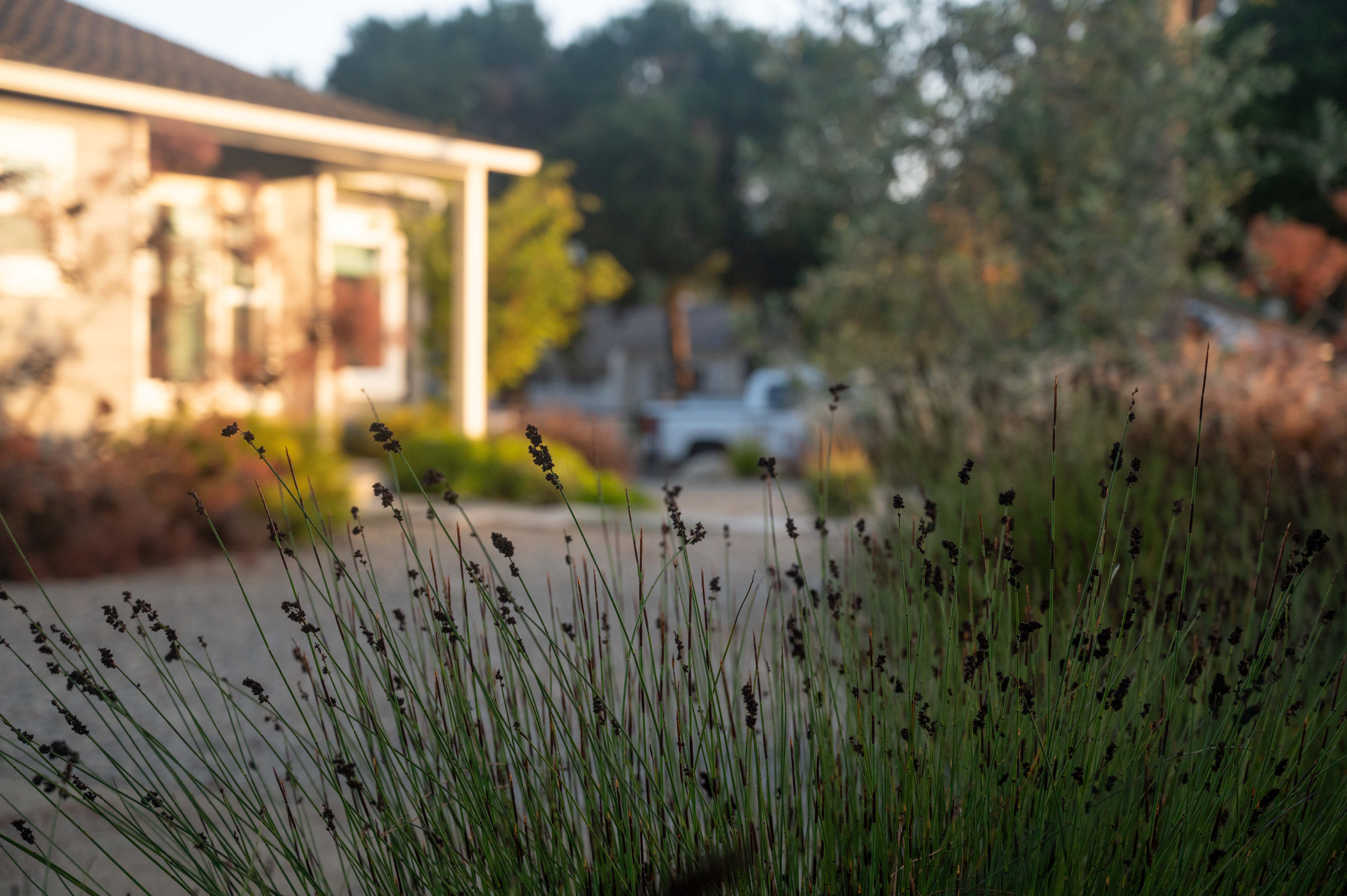 Garden Design — Santa Barbara