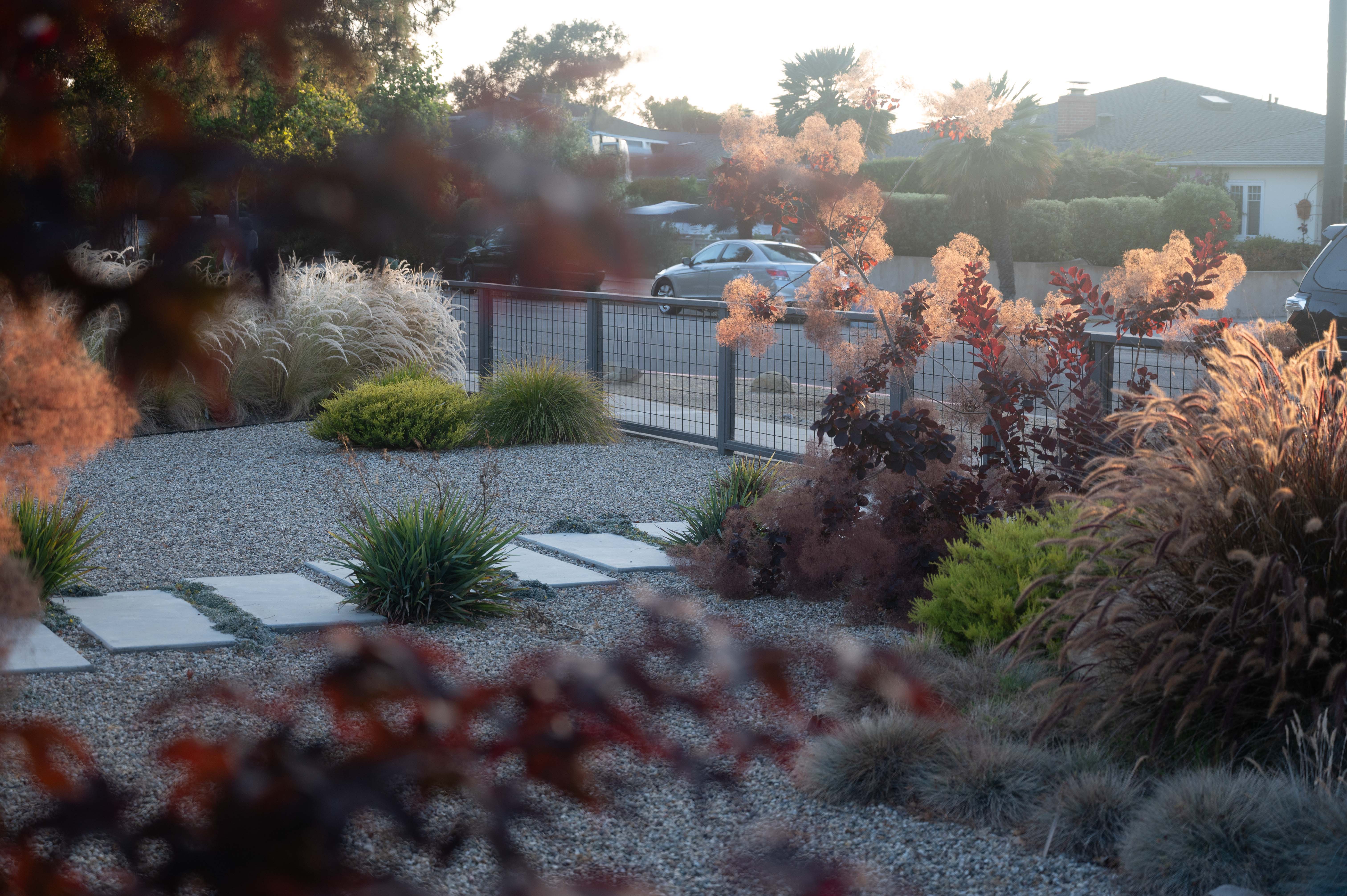 Planting and Design — Santa Barbara
